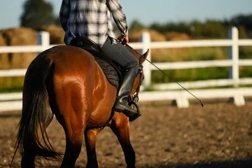 Fotobehang Paardrijden Female rider training bay horse in outdoor arena at sunset, equestrian sport and leisure concept, back view of horse riding with whip, golden hour rural lifestyle, animal training  © GRON777