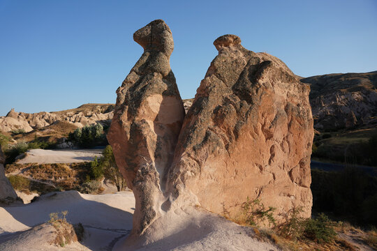Camel Shaped Rock Formation in Devrent Valley, Cappadocia, Nevsehir, Turkiye