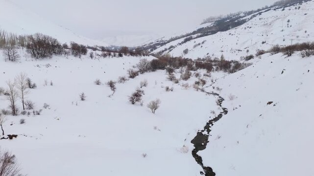 Snow blankets quiet winter forest with rocky stream