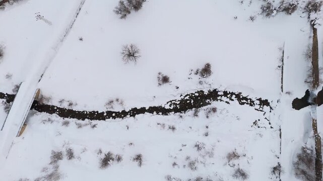Snow blankets quiet winter forest with rocky stream