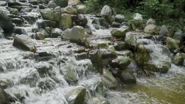 Water cascades over rocks in a forest stream during a sunny day