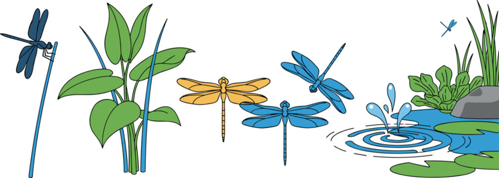 Dragonfly set with pond plants water splash and flying insects vector illustration collection