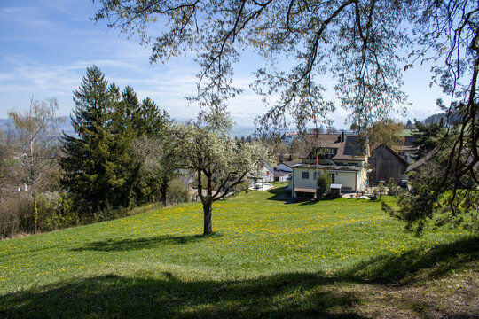 Landscape - Forch, Switzerland - April 8th 2026