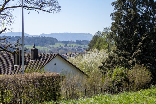Landscape - Forch, Switzerland - April 8th 2026