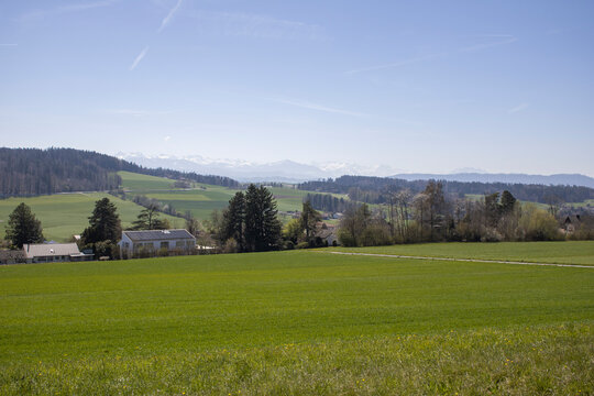 Landscape - Forch, Switzerland - April 8th 2026