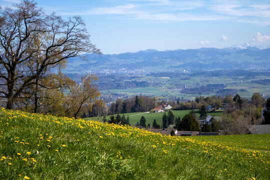 Landscape - Forch, Switzerland - April 8th 2026