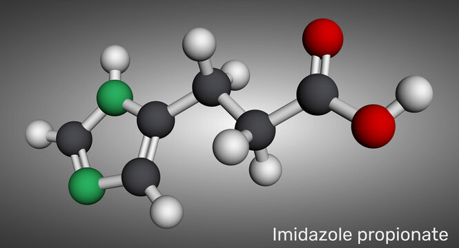 Imidazole propionate, ImP, 5-imidazolepropionic acid molecule. Bacterial metabolite of histidine and neurotoxin linked to gut microbiota and insulin resistance. Molecular model. 3D rendering