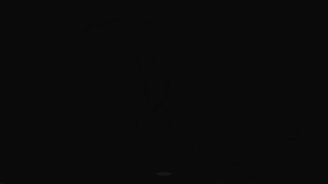 Simple White Ball Falling Down Motion Graphic Loop Animation on a Dark Black Background with a Subtle Shadow