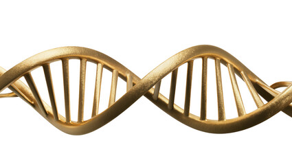 Golden DNA helix structure symbolizing genetics and life, isolated on transparent background