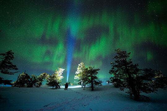 Aurora borealis over snowy forest in Finland night sky