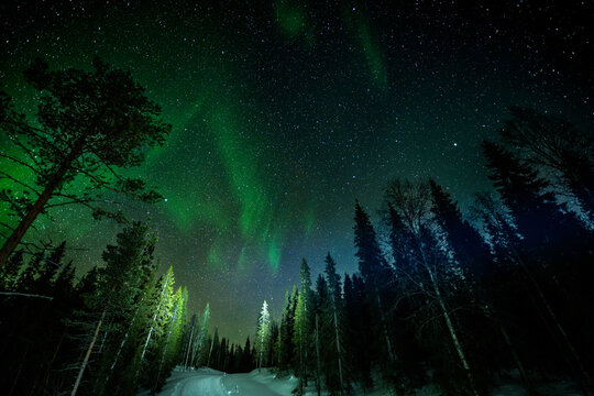 Northern lights above snowy forest under starry sky, Finland
