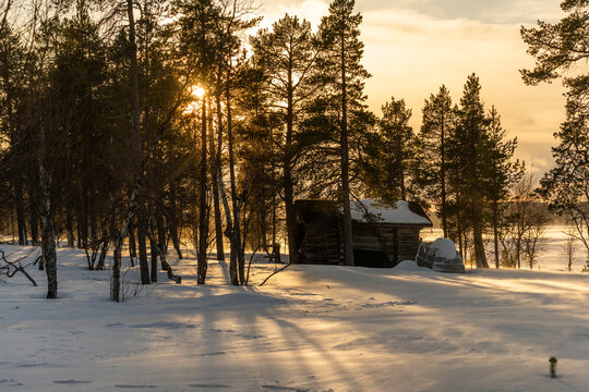 Winter sunset over snowy pine forest cabin in Finland