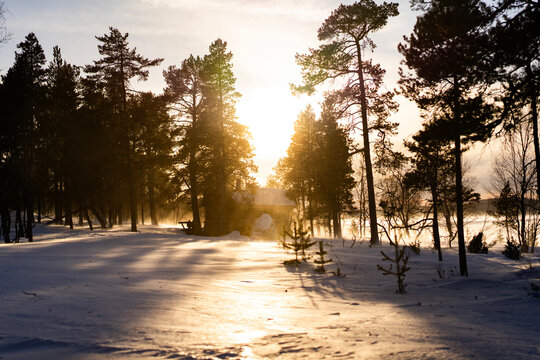 Winter sunrise over snowy pine forest in Finland landscape