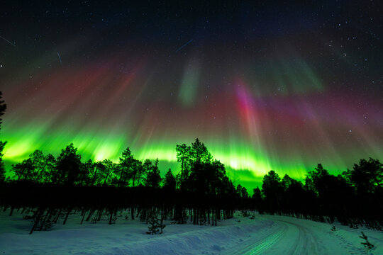 Aurora borealis over snowy pine forest road in Finland
