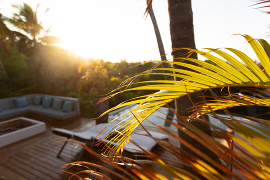 palm trees and sunrise,Vilankulos, Mozambique, Africa
