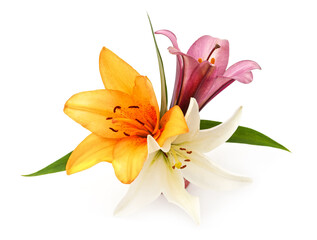 Fototapeta premium Beautiful lily flowers bouquet isolated on a white background.
