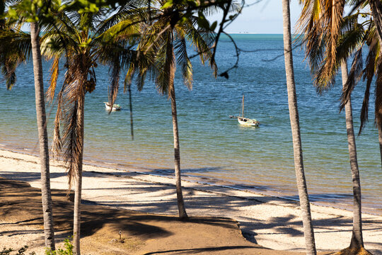sail boats , beach and palm trees, coastline, Mozambique, Africa