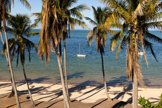 sail boats , beach and palm trees, coastline, Mozambique, Africa
