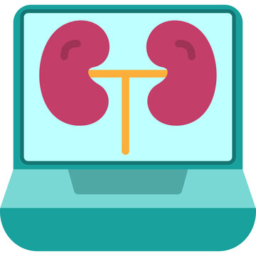 Kidneys Icon