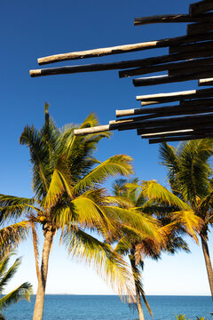 sea shell and palm trees, Vilankulos, Mozambique