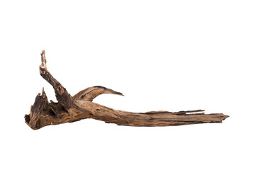 Obraz premium Driftwood aged wood isolated on white background. Piece of driftwood driftwood close up for aquarium.