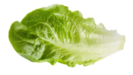Vibrant green romaine lettuce leaf, fresh and crisp, perfectly isolated on transparent background, healthy vegetable PNG for culinary designs © Marie