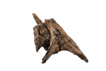 Fototapeta premium Driftwood aged wood isolated on white background. Piece of driftwood driftwood close up for aquarium.
