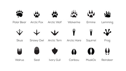 Arctic Animal Footprints Paw Tracks Silhouette Vector Icon Set Polar Wildlife Track Collection © Templates