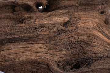 Fototapeta premium Driftwood aged wood isolated on white background. Piece of driftwood driftwood close up for aquarium.