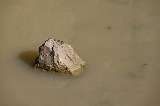 Sandsteinbrocken in einer Wasserpf&uuml;tze