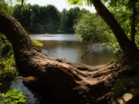 Sunlit forest frames a calm, murky lake. Fallen tree trunk curves near the water's edge. Green foliage sways gently in the breeze. Distant figures paddle quietly on the water's surface