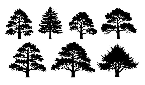Weathered Old Pine Tree Silhouette Set Black Solid Forest Tree Vector Collection