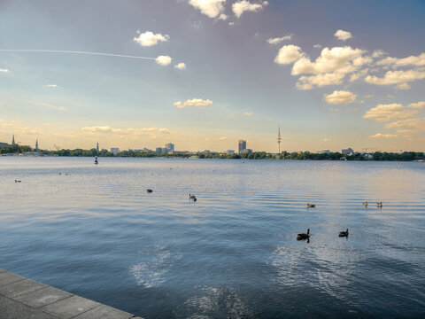 Calm lake reflects a bright, partly cloudy sky. Distant city skyline adds urban contrast. Ducks glide peacefully across the water. Sunlight creates gentle ripples on the surface
