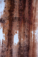 Naklejka premium Rusty Metal Wall Texture with Green Leaves Frame