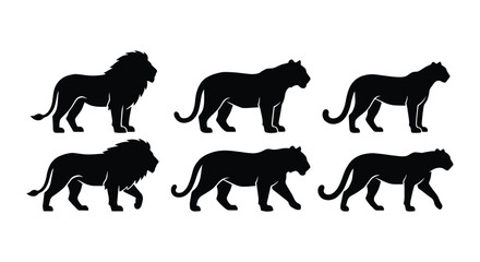 Wild cat silhouettes collection, set of 6 lion tiger and panther vector icons, black feline predator shapes for logo design and wildlife branding © MD