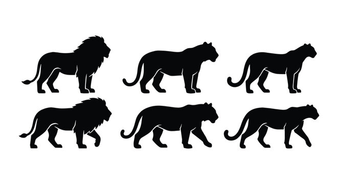 Wild cat silhouettes collection, set of 6 lion tiger and panther vector icons, black feline predator shapes for logo design and wildlife branding