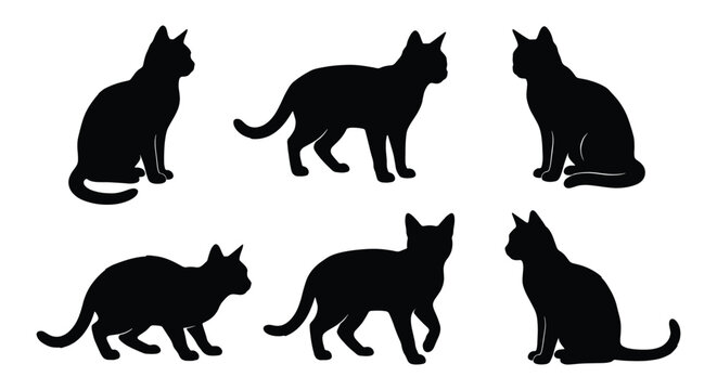 Black cat silhouette collection, set of 6 domestic feline vector icons, sitting and walking cat shapes, minimalist pet animal silhouettes for logos
