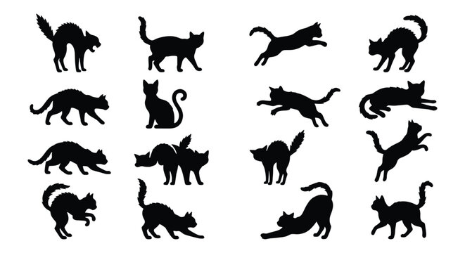 Black cat silhouette collection, 16 feline vector icons in various poses, jumping and stretching kitten silhouettes, spooky halloween cat set