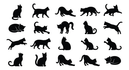 Black cat silhouettes collection, set of 20 feline vector icons in various poses, domestic cat shapes for logo design and pet branding © MD