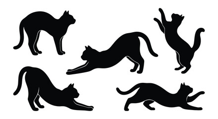 Black cat silhouette collection, set of 5 feline vector elements in various poses, domestic cat stretching and jumping icons for pet branding © MD