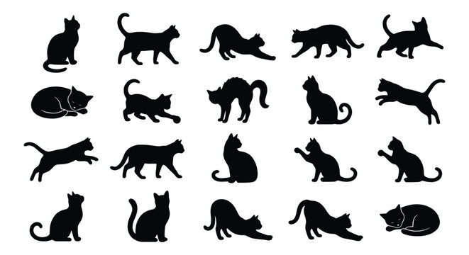 Black cat silhouettes collection, set of 20 feline vector icons in various poses, domestic cat shapes for logo design and pet branding