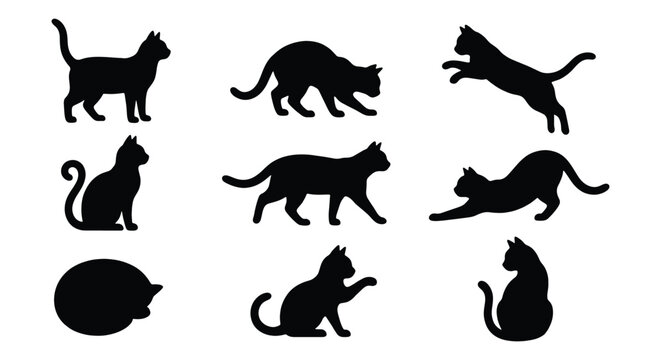 Black cat silhouette collection, 9 vector cat icons in various poses, feline animal silhouettes for pet branding and graphic design
