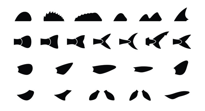 Fish fin and tail silhouette collection, 24 black marine animal body parts, shark and dolphin dorsal fin icons, aquatic wildlife vector set