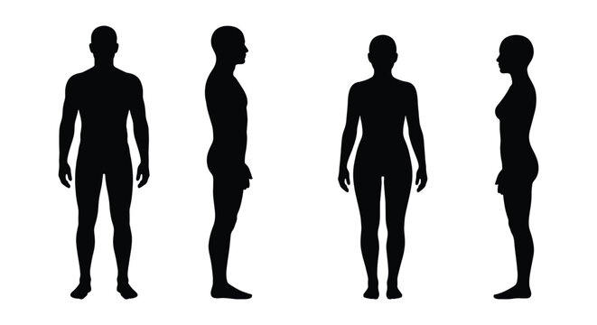 Human body silhouette set with male and female figures, front and side view anatomical outlines, black person shapes for medical or fashion design