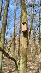 Budka lęgowa w parku  © WalDec