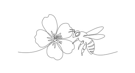 Continuous line drawing of a bee and a flower, simple, minimalist art © Free Account