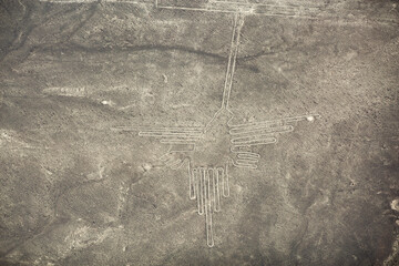 Fototapeta premium Aerial view of ancient Nazca Hummingbird geoglyph in Peru with copy space