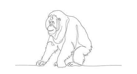 Orangutan Line Drawing: Minimalist Primate Portrait © Free Account