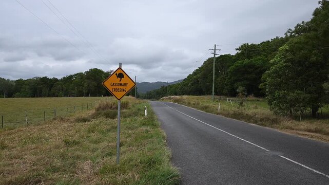 black and yellow cassowary road sign along the bloomfield road towards Cape tribulation through the Daintree Rainforest in tropical north queensland, a popular travel destination in Australia.
