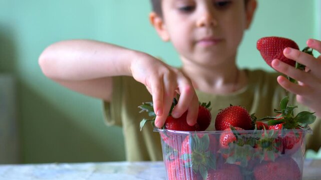 Boy Choosing and Taking Strawberry from Fresh Punnet &mdash; Child Picking Ripe Summer Fruit from Plastic Container, Healthy Snacking, Fruit Selection and Everyday Food Concept